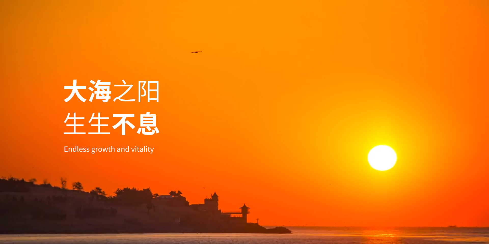 高菲葡萄酒代理加盟